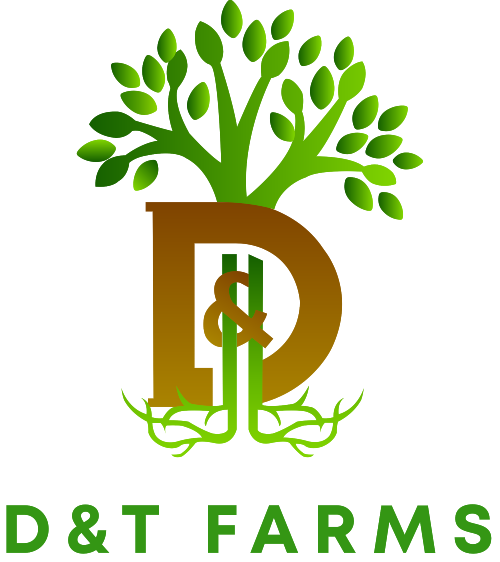 D&T Farms: Cultivating the Future of the Bahamas Logo